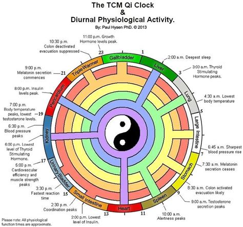 what is qi chinese medicine.